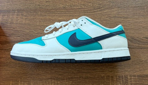 " Thunder Blue Dusty Cactus " - NIKE DUNK - Size 11*